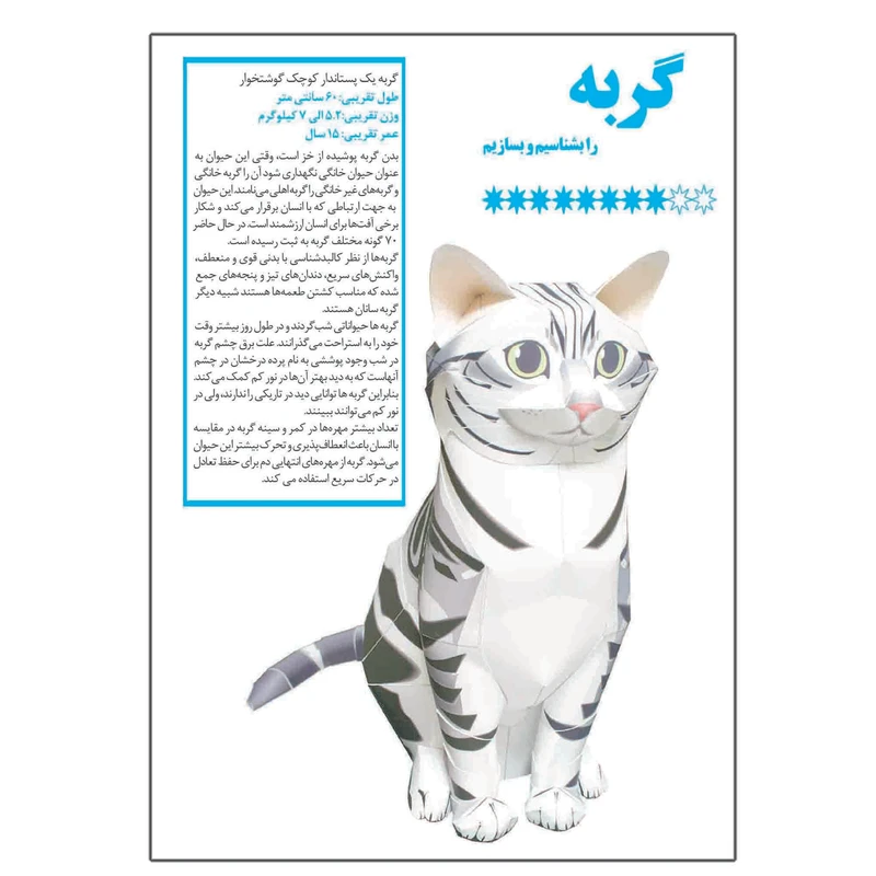 کتاب گربه را بشناسیم و بسازیم اثر م محمددوست انتشارات کاردستی