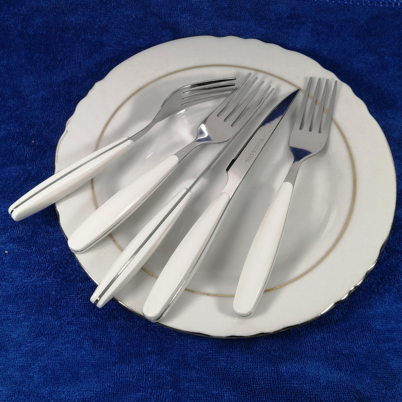 کارد و چنگال میوه خوری 12 پارچه ام جی مدل  VANIA