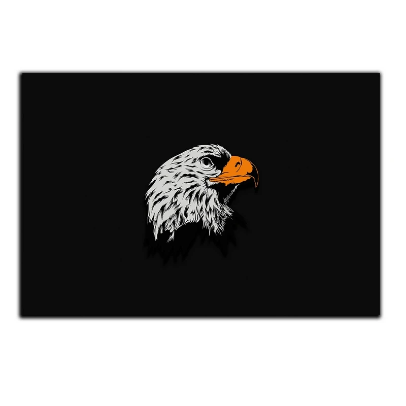 تابلو شاسی بکلیت طرح گرافیکی عقاب مدل SH-S5441