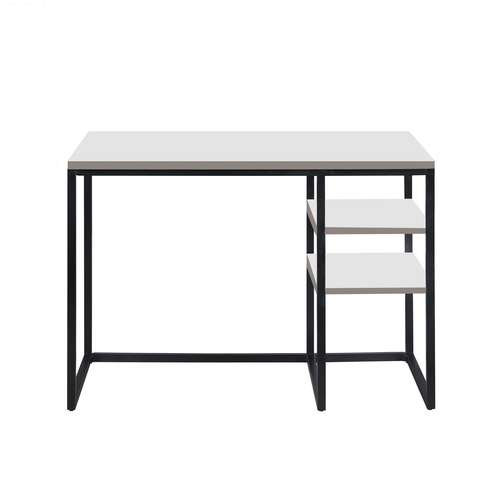 میز اداری دیزم مدل TLD-6-120-10