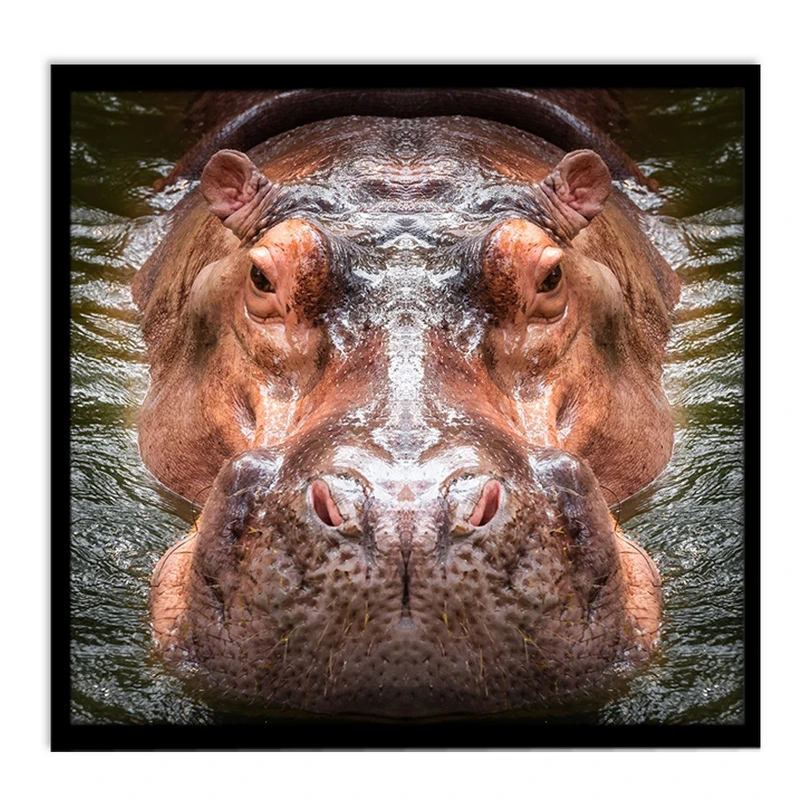 تابلو نوری بکلیت طرح طبیعت اسب آبی مدل B-S1269