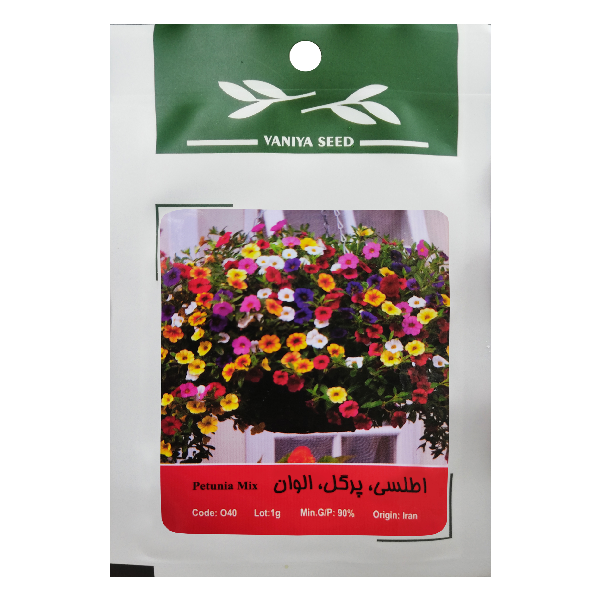 بذر گل اطلسی پرگل الوان وانیا سید مدل O40