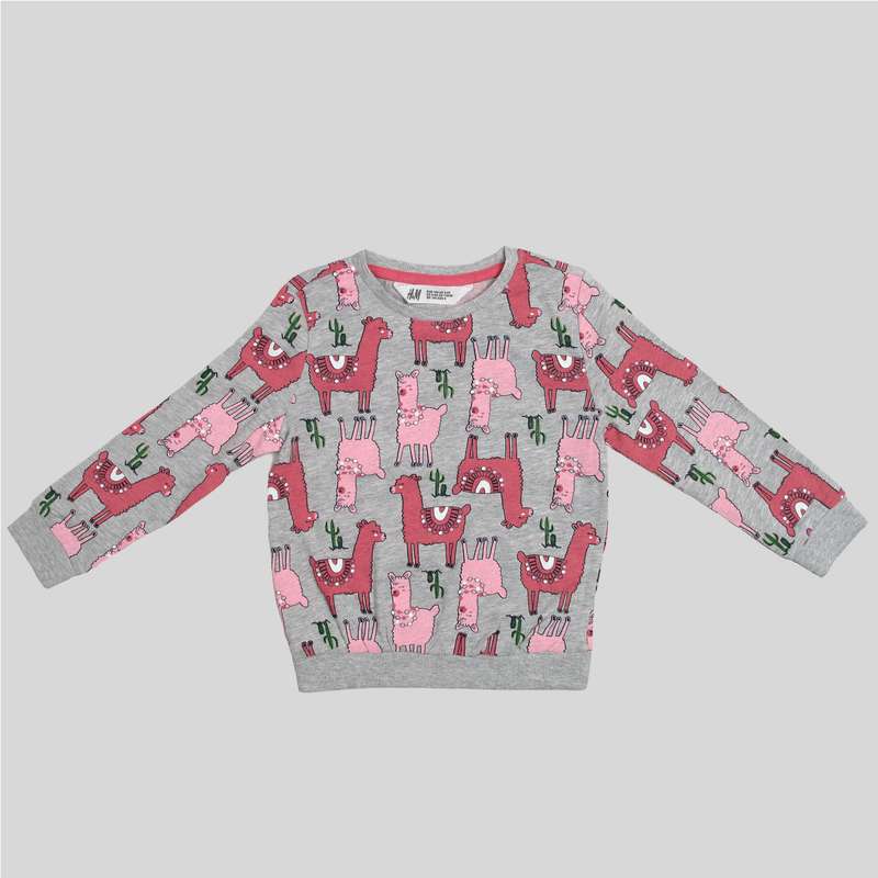 تی شرت آستین بلند دخترانه اچ اند ام مدل PK-HM-DO-Pk01