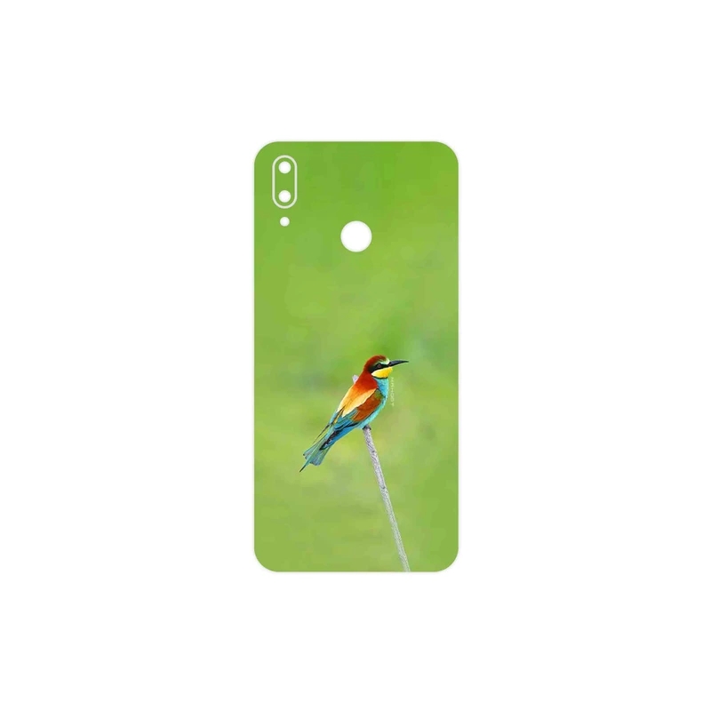 برچسب پوششی ماهوت مدل European bee-eater مناسب برای گوشی موبایل هوآوی Y9 2019