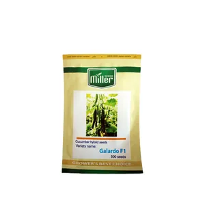 بذر خیار گلخانه ای گالاردو مدل 123