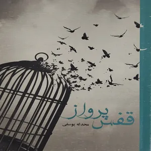 کتاب قفس پرواز اثر خانوم محدثه یوسفی انتشارات دکتر سین