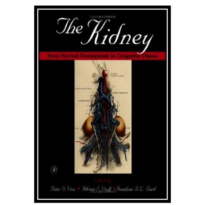 کتاب The Kidney: From Normal Development to Congenital Disease اثر جمعی از نویسندگان انتشارات مؤلفین طلایی