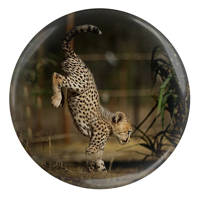 مگنت مدل S12709 طرح پیروز یوزپلنگ ایران