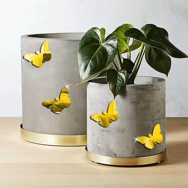 آینه مستر راد مدل پروانه کد BUTTERFLY-G 05