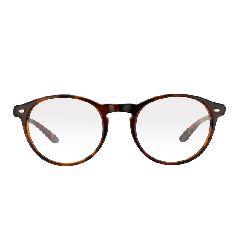 فریم عینک طبی پنتوس (Pantos) ری بن مدل rx5283 مناسب برای انواع صورت