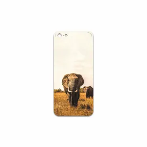 MAHOOT Elephant Cover Sticker for Apple iPhone 5c
