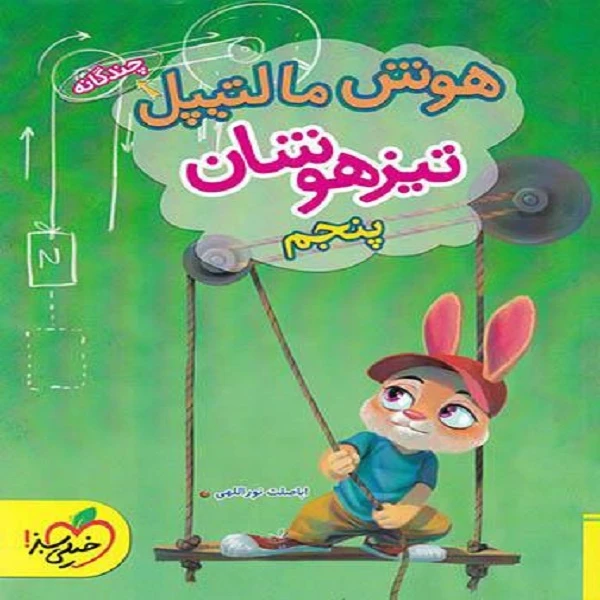 کتاب هوش مالتیپل پنجم اثر اباصلت نورالهی انتشارات خیلی سبز