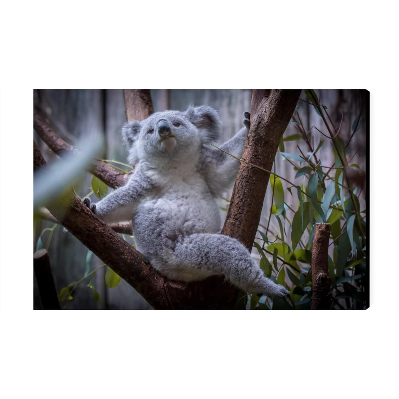 تابلو شاسی عرش مدل فانتزی کوالا کد As3078