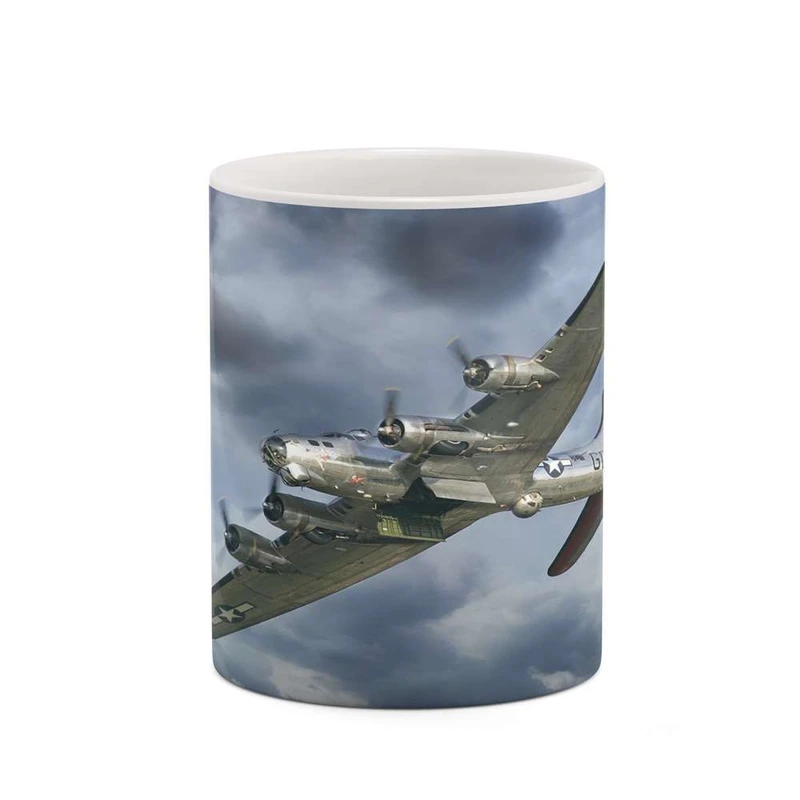 ماگ کاکتی مدل هواپیمای جنگنده کد mgh20399