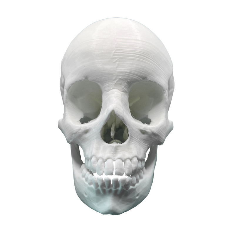 بازی آموزشی مدل جمجمه 3 تکه