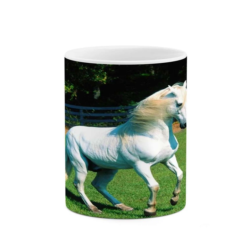 ماگ کاکتی مدل اسب کد mgh24164