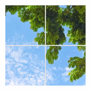 تایل سقفی آسمان مجازی مدل SK-446 سایز 60x60 سانتیمتر مجموعه 4 عددی