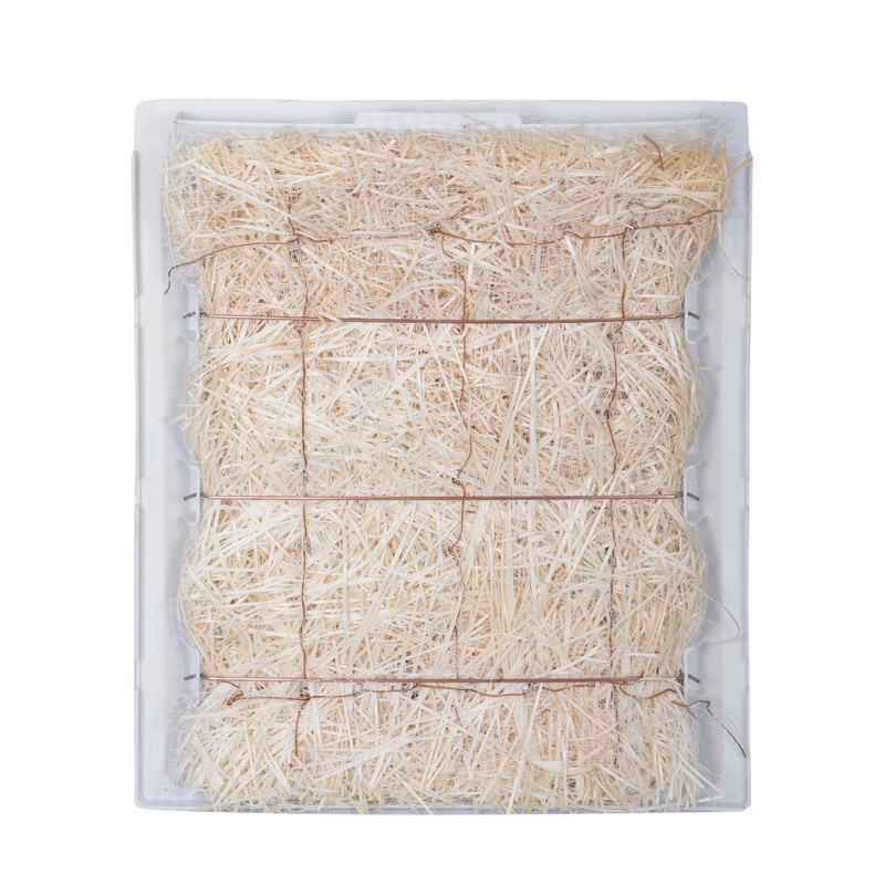 کولر آبی جنرال سون مدل 3000