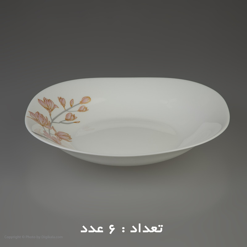سرويس 26 پارچه آیروپال مدل آيرا
