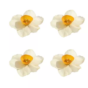 گل خشک مدل رزین اپوکسی نرگس بسته 4 عددی