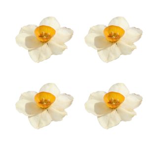 نقد و بررسی گل خشک مدل رزین اپوکسی نرگس بسته 4 عددی توسط خریداران