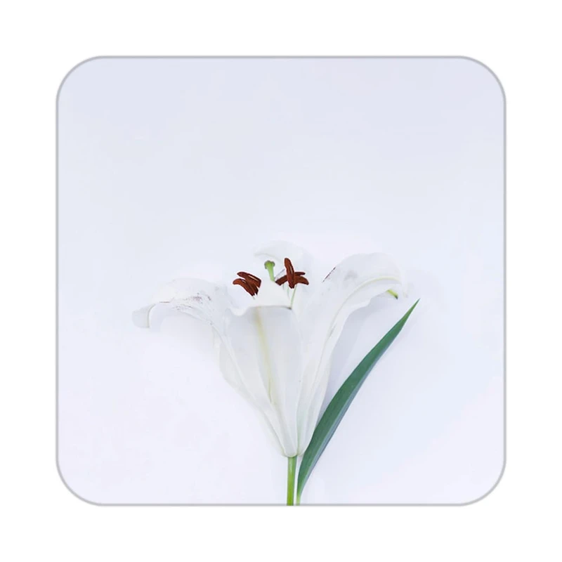 زیر لیوانی کاکتی طرح گل مدل mp17598