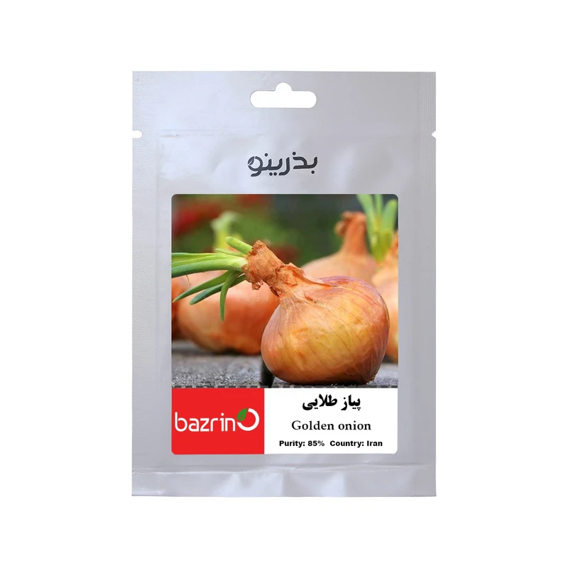 بذر پیاز طلایی بذرینو کد BZNO-166