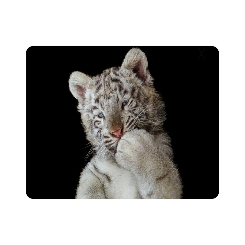 ماوس پد اطلس آبی طرح بچه ببر مدل T1537