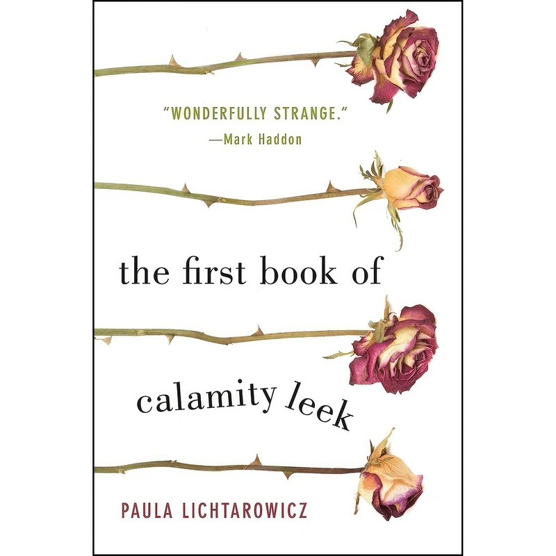 کتاب Lichtarowicz, P اثر Paula Lichtarowicz انتشارات Flatiron Books