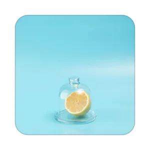 زیر لیوانی کاکتی طرح میوه مدل mp21500