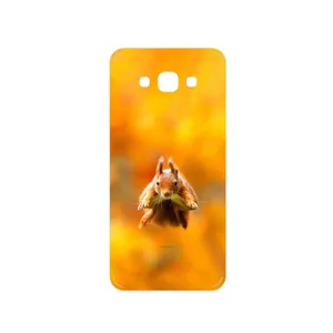 MAHOOT Squirrel Cover Sticker for Samsung Galaxy A8