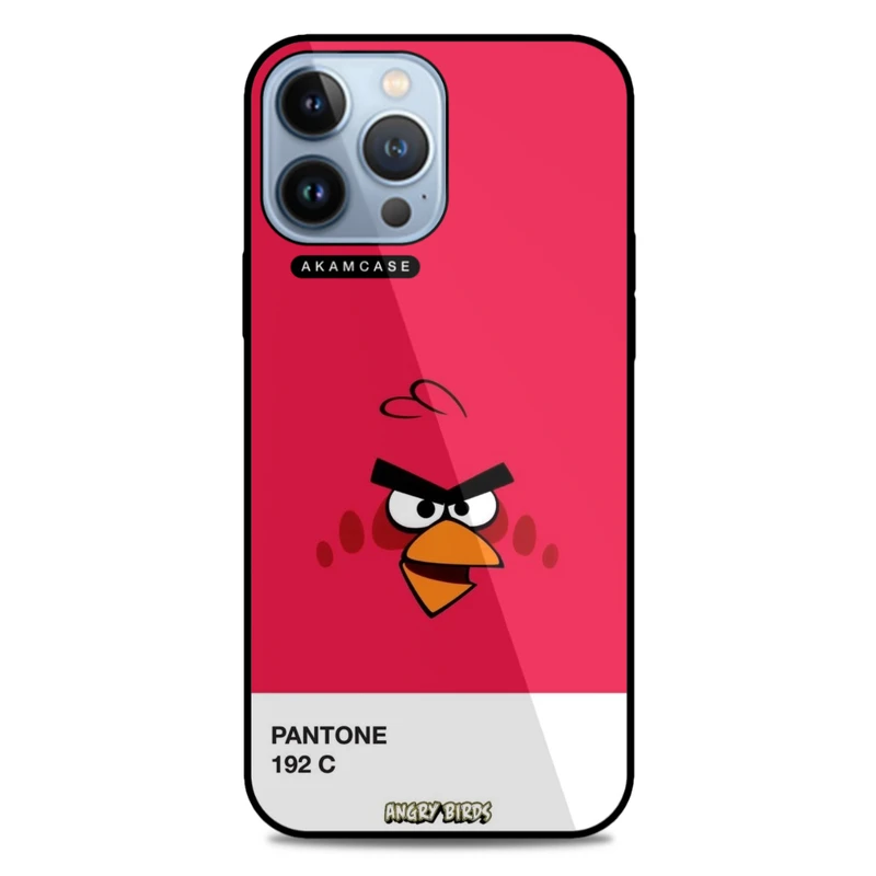 کاور آکام مدل AMC-WA13PROMAX-ANGRY BIRDS11 مناسب برای گوشی موبایل اپل iPhone 13 Pro Max