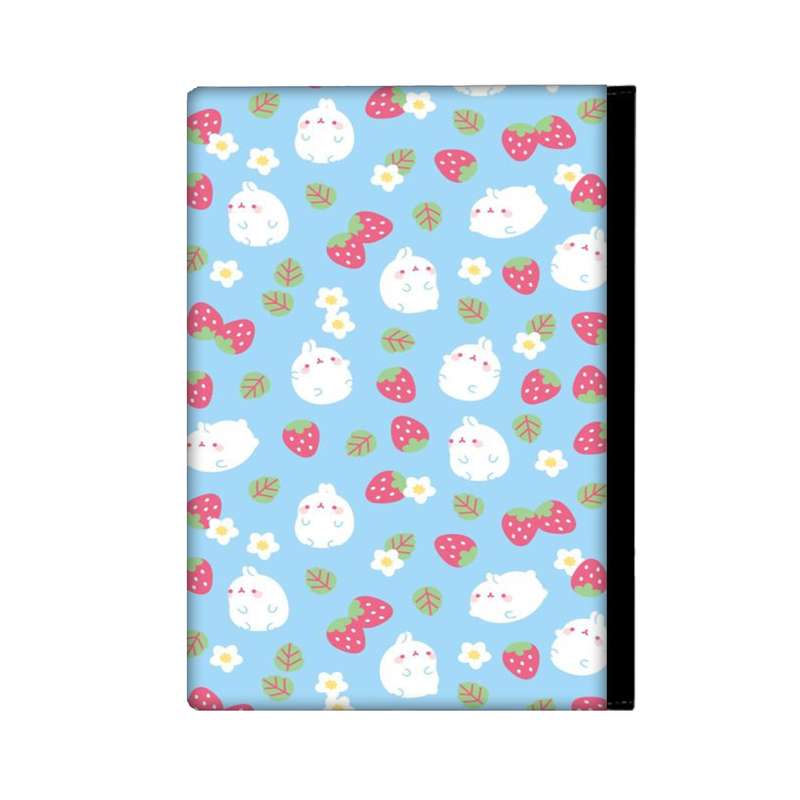 کلاسور مدل خرگوش کد 629