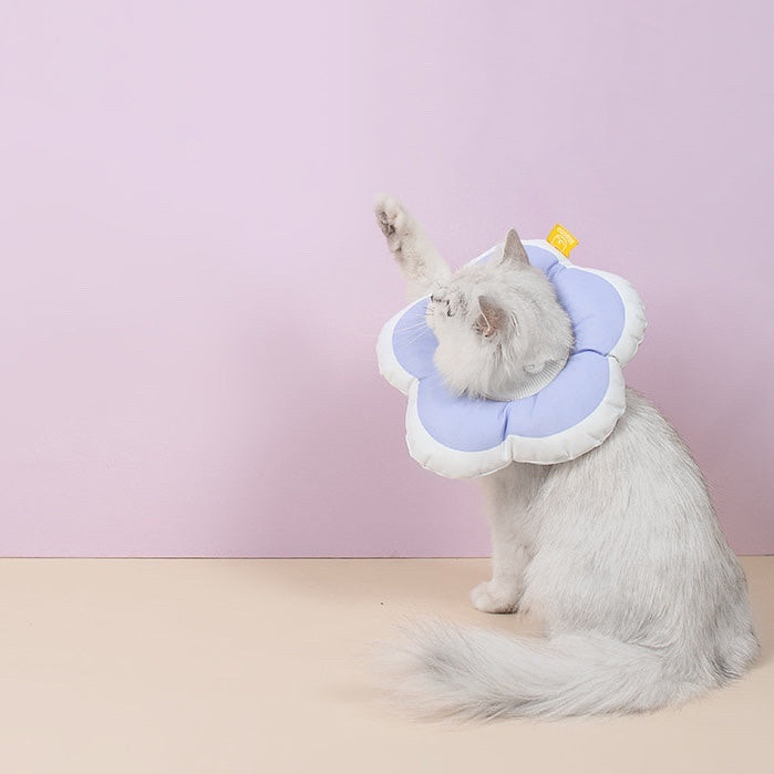 گردنبند سگ و گربه مدل الیزابت ستاره کد 3012L6