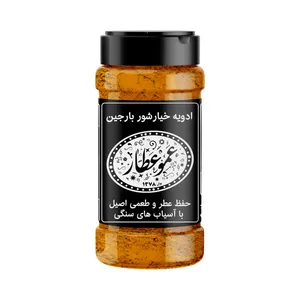 ادویه خیارشور بارجین - 85 گرم