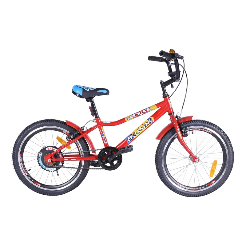 دوچرخه کودک شهری آساک مدل سپهر کد B-207-5200634 سایز طوقه 20 اینچ