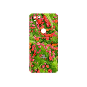 MAHOOT Atom Universe 3 Cover Sticker for Google Pixel 2