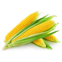 ذرت درجه یک - یک کیلوگرم