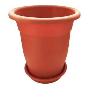 Golpooneh Benjamin 318 Plant Pot
