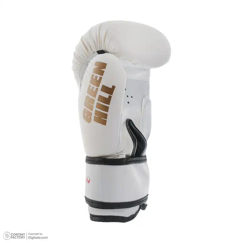 دستکش بوکس گرین هیل مدل aiba fo