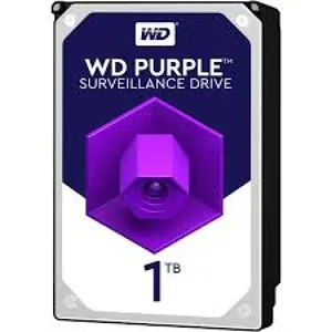 Purple WD11PURZ