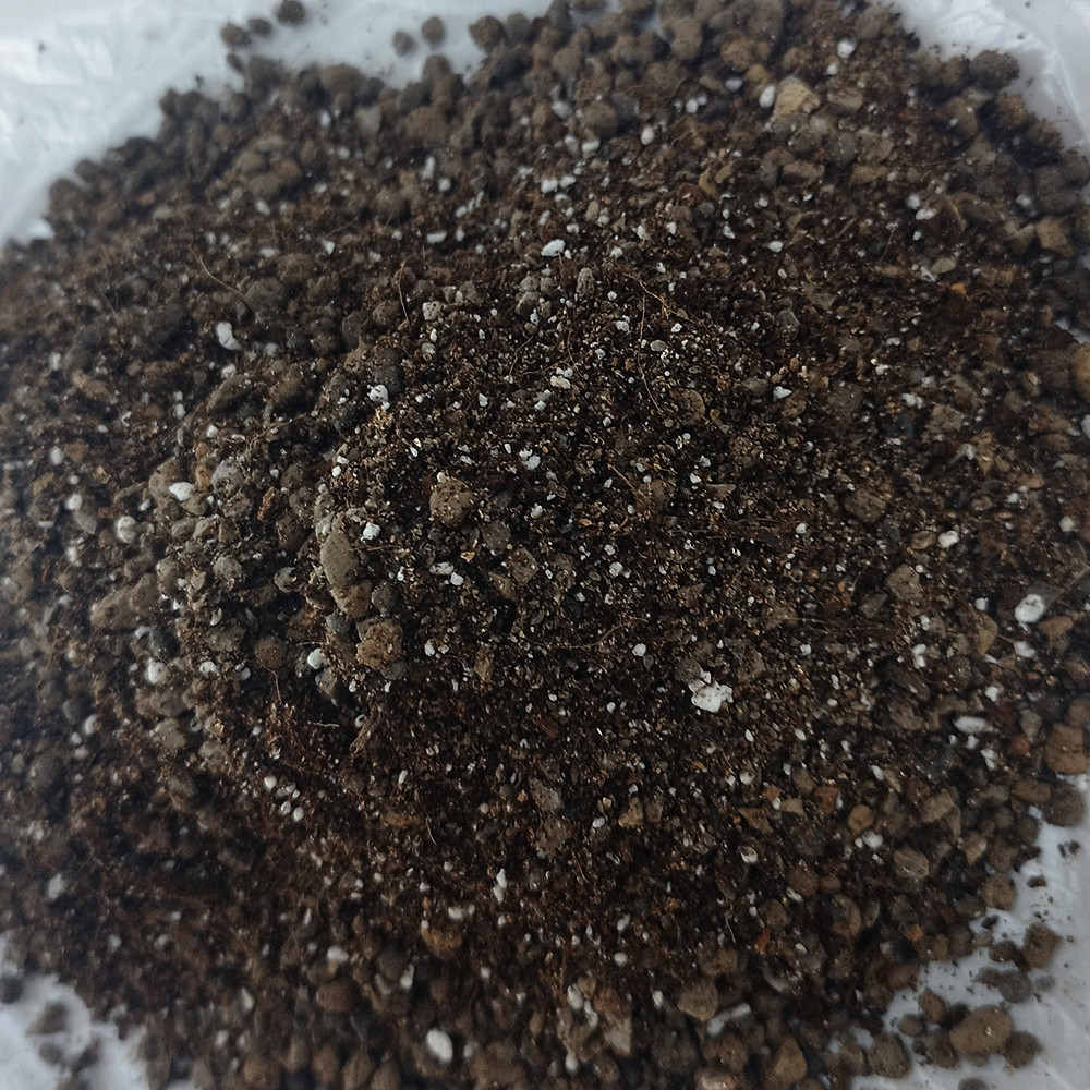 خاک کاکتوس و ساکلونت رویان گل مدل KS3 حجم 3لیتر