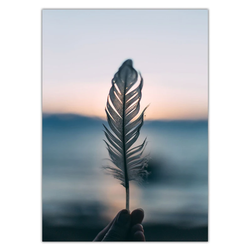 تابلو شاسی ونسونی طرح Alone Feather سایز 30x40 سانتی متر