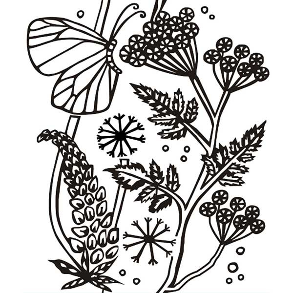 غلتک نقاشی طرح دار کد GR137 به همراه فوم و دسته سایز 6 اینچ غلتک نقاشی طرح دار کد GR137 به همراه فوم و دسته سایز 6 اینچ