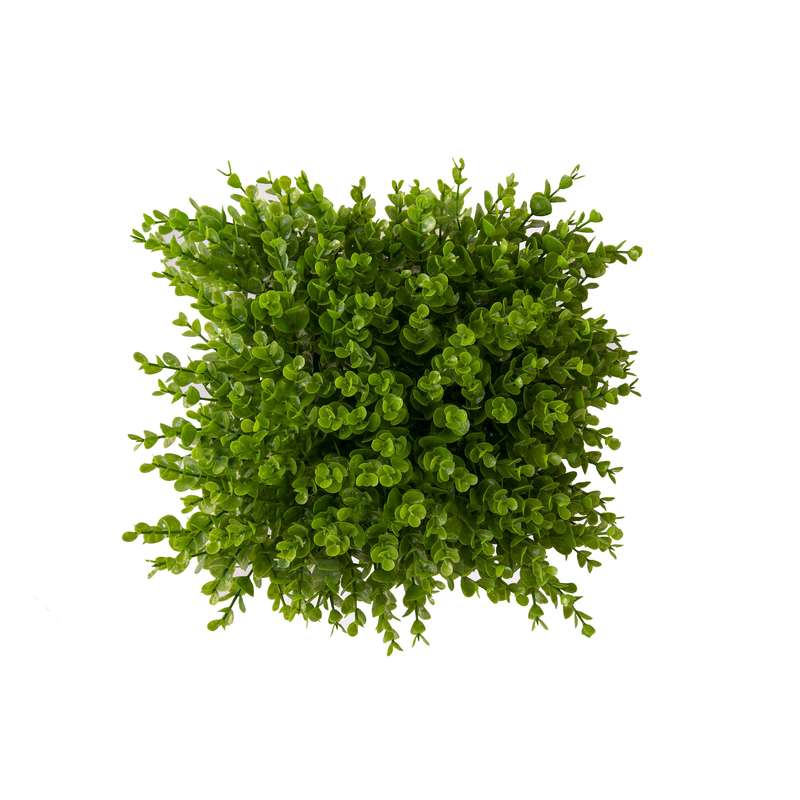 دیوار سبز مصنوعی مدل برجسته سایز 25×25 سانتی متر دیوار سبز مصنوعی مدل برجسته سایز 25×25 سانتی متر