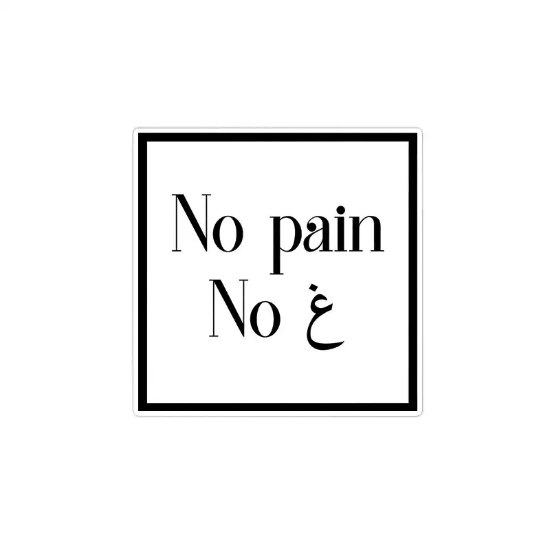 استیکر لپ تاپ ماسا دیزاین طرح  no pain مدل venus692