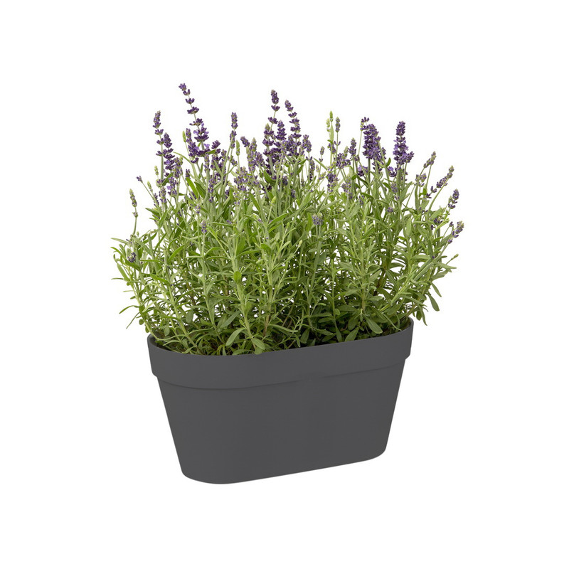 گلدان مدل GRW29بسته سه عددی گلدان مدل GRW29بسته سه عددی