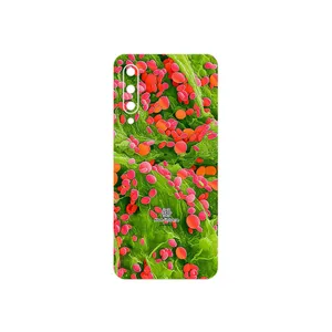 MAHOOT Atom Universe 3 Cover Sticker for Xiaomi Mi 9 SE