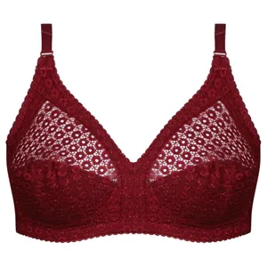 سوتین بدون فنر زنانه پانیذ کد 66500-NEW