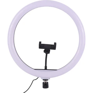 رینگ لایت مدل BD-360